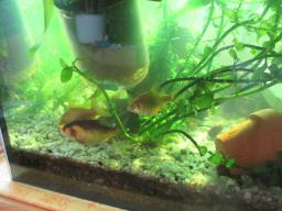 AIMG_5306