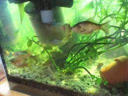 AIMG_5307