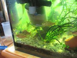 AIMG_5308