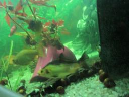 AIMG_5319