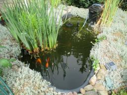 AIMG_5390