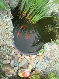 AIMG_5393
