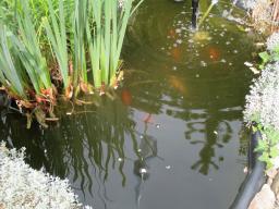 AIMG_5395