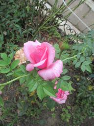 AIMG_5400