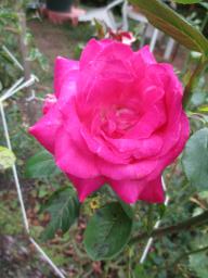 AIMG_5403