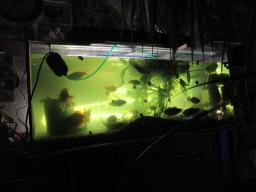 AIMG_5427