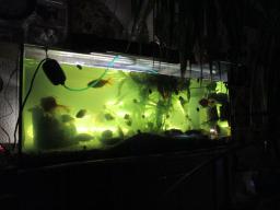 AIMG_5428
