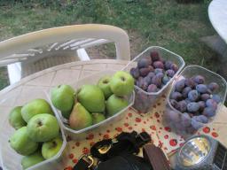 AIMG_5429