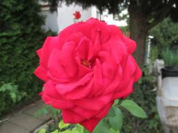 AIMG_5432