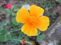 AIMG_5443