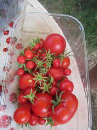AIMG_5448