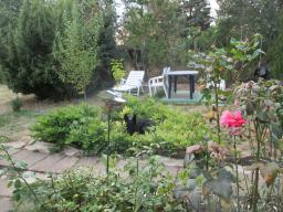 AIMG_5449