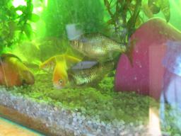AIMG_5472