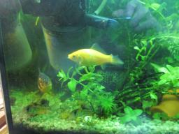 AIMG_5476