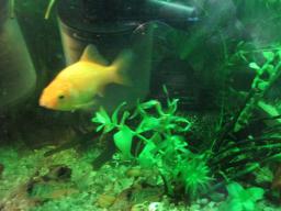 AIMG_5477