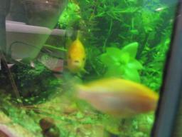 AIMG_5479