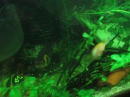 AIMG_5481