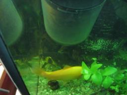 AIMG_5482