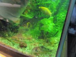 AIMG_5483