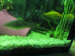 AIMG_5486