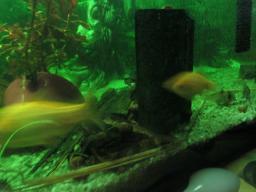 AIMG_5487