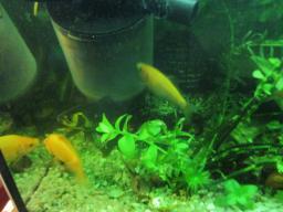 AIMG_5489