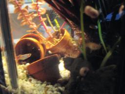 AIMG_5507