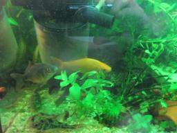 AIMG_5768