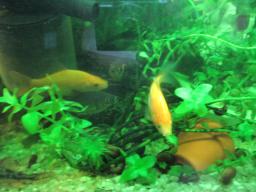 AIMG_5769