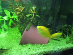 AIMG_5771