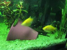 AIMG_5772