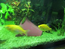 AIMG_5773