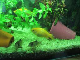 AIMG_5774