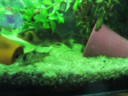 AIMG_5776