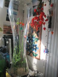 AIMG_5778