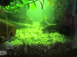 AIMG_5782