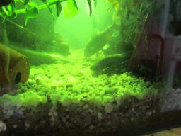 AIMG_5783