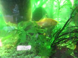 AIMG_5785