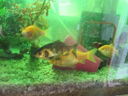 AIMG_5790