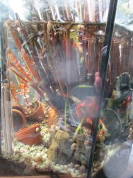 AIMG_5820