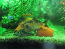 AIMG_5927