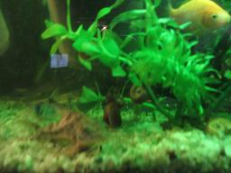 AIMG_5930