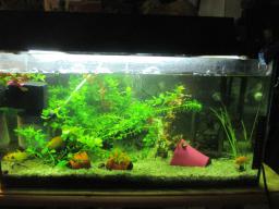 AIMG_5967