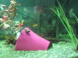 AIMG_5969