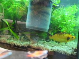 AIMG_5972