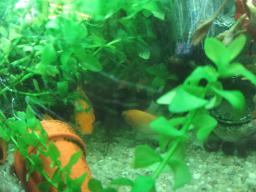 AIMG_5975