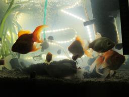 AIMG_5976