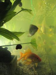 AIMG_6046