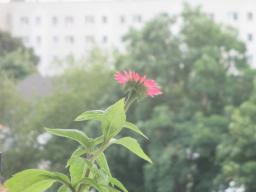 BIMG_4894