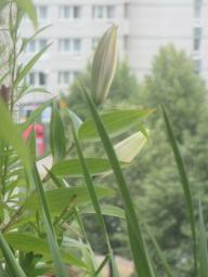 BIMG_4895